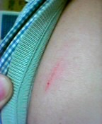 �P�c����Ȃ��ł����ł�